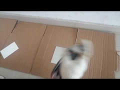 رنگ اسپری همه منظوره رنگ اکریلیک با خشک شدن سریع 400 میلی لیتری ضد آب