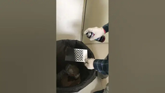 رنگ اسپری اکریلیک برای استفاده در محیط داخلی و خارجی، دمای کاربرد متفاوت است